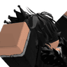 Expurgatum