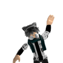 RIP_indra001