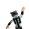 RIP_indra001