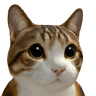 Meowl