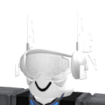 Destroyer_chatbanned