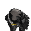 Zodi