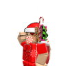 MNR_geanzinn