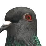 Artie
