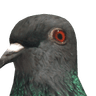 Artie