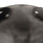 timmeh