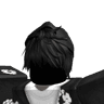 ZiZ