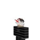 TY_12