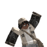 5LionsRoar