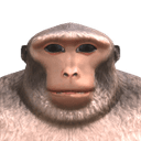 SMC