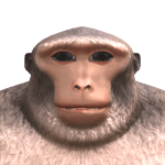 SMC