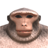 SMC