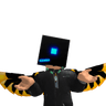 NAME