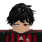 1a1