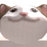 C_AT