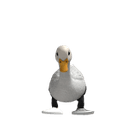 AnderdingusTorobolas