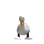 AnderdingusTorobolas