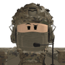 Poland_SSO