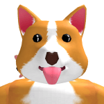 Corgimput