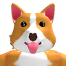 Corgimput
