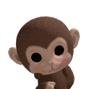 Tomonkey