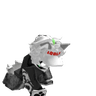 FurPhoenix
