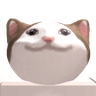 IIIII