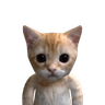 MEOWW