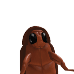 Sammy