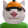 catboy20061