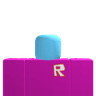 participants