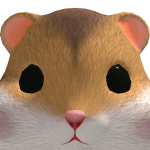 RipHachi