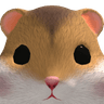 RipHachi