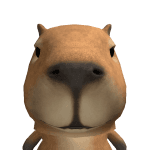 real_mrroy