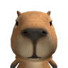 real_mrroy