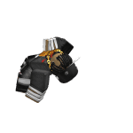 Rip_Allan