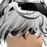 AOKII