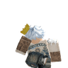 Ayushkingind