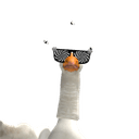 OGGY