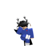 VOID