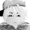 Raidest