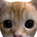 Mikon