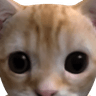 Mikon