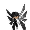 Rip_travo07