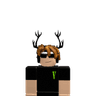LM_Dev4U