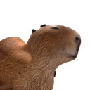 Capybara