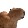 Capybara