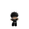 V4NSH