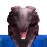 Kosmos