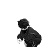 Aokhifuyu